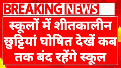 School Winter Vacation 2025